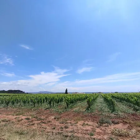 Oasis De Detente, Un Cocon Avec Piscine Privee. * Marseillan (Herault)
